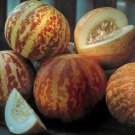 Tigger Melon 10 seeds per pack