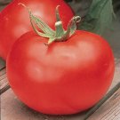 Burpees Big Boy Tomato (Hybrid) 10 seeds per pack