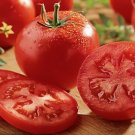 Celebrity Tomato (F1 Hybrid) 10 seeds per pack
