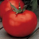 Better Boy Tomato VFN F1 Hybrid 10 seeds per pack
