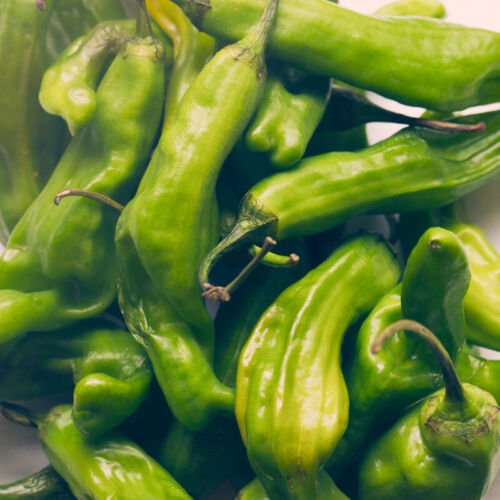 Shishito Pepper 10 seeds per pack