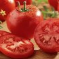 Shishito Pepper 10 seeds per pack