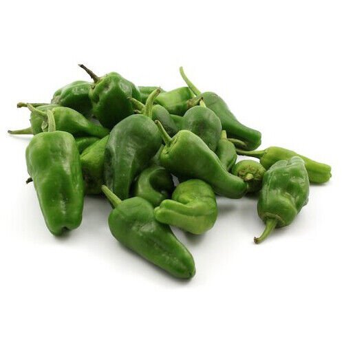 Padron Pepper 10 seeds per pack