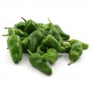 Padron Pepper 10 seeds per pack