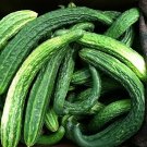 Suyo Long Cucumber 15 seeds per pack