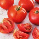 Creole Tomato 15 seeds per pack