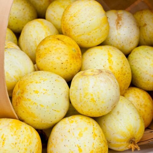Lemon Cucumber 20 seeds per pack