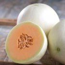 Orange Honeydew Melon 20 seeds per pack