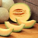 Edisto 47 Cantaloupe 20 seeds per pack