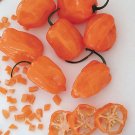 Orange Habanero Pepper 20 seeds per pack