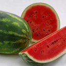 All Sweet Watermelon 25 seeds per pack