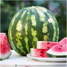 Crimson Sweet Watermelon 25 seeds per pack