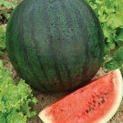 Sugar Baby Watermelon 25 seeds per pack