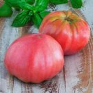 Pink Brandywine Tomato 30 seeds per pack