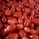 San Marzano Short Vine Tomato 30 seeds per pack