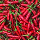Thai Hot Pepper 30 seeds per pack