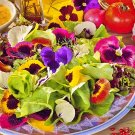 Wildflower Seed Mix Heirloom Bee & Butterfly Friendly Gourmet ing  200 seeeds