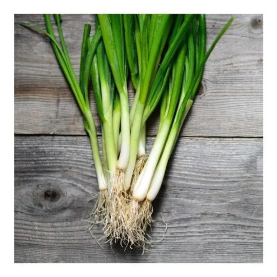 500 seeds mini pack Vegetable ape Onion White Lisbon