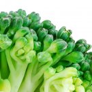 500+ Waltham Broccoli Vegetable Seeds Heirloom Non-Gmo For Microgreens Or Planting