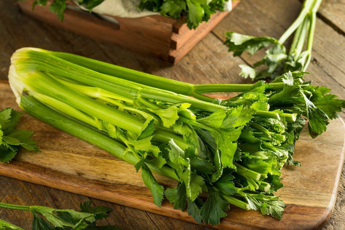 2750+ Celery Seeds Heirloom Non-Gmo Tall Utah (Stringless) Vegetable Seeds For Microgreens Or Planti
