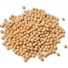 Soybean 350+ Or 700+ Seeds Non-Gmo Pure Seeds