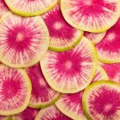 Watermelon Radish Culinary Roseheart Radish And Beauty Heart Radish  Non Gmo Chinese Heirloom  50+ S