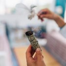 220 Smudging Sage Seeds