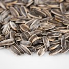 250+ Black Sunflower Seed (Helianthus Annuus) Livestock Antibiotic Feed Supplement