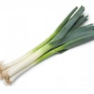 500+ American Flag Leek Seeds For Microgreens Or Planting