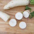 550+ Daikon Radish Heirloom Vegetable Seeds Non-Gmo White