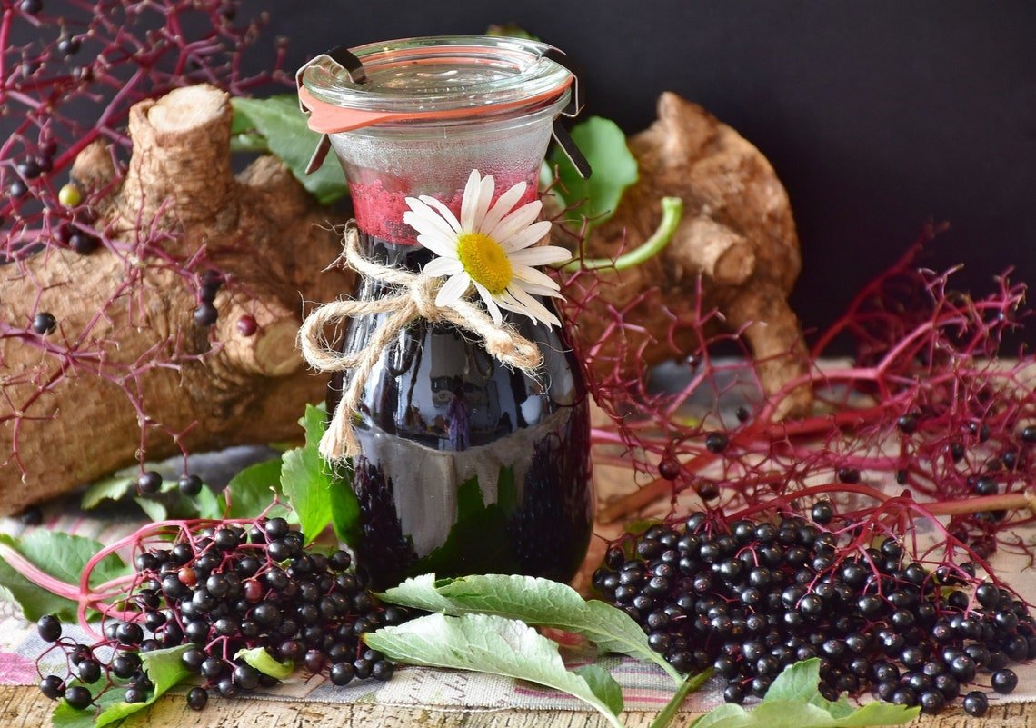 Organic Wild Elderberry Black Fruiting Shrub {Sambucus Cadensis} Edible  Culinary 50+ Seeds