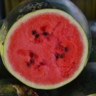 Sugar Baby Watermelon Heirloom {Citrullus Lanatus} Non-Gmo 50+ Seeds