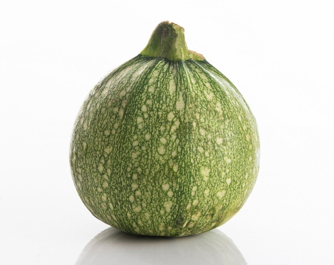 Zucchini Round 50 Summer Squash Seeds