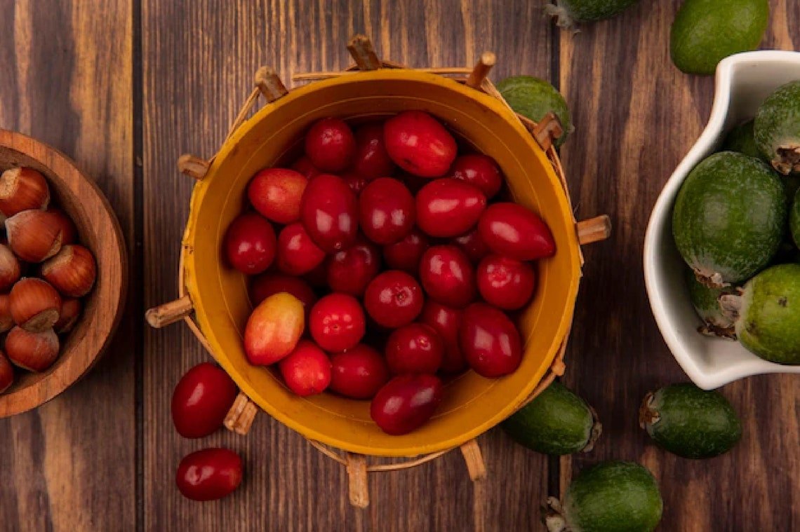 Organic Cornelian Cherry Tree {Cornus Officinalis}  40 Seeds