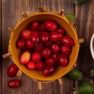 Organic Cornelian Cherry Tree {Cornus Officinalis}  40 Seeds