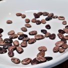 Phaseolus Lunatus 'Jackson Wonder' Butter Bean Heirloom Non-Gmo  High Yield Drought Resistant 15 See