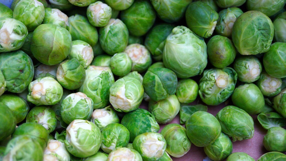 Long Island Improved Brussel Sprout Brassica Oleracea Heirloom Micro Green Favorite! Fast Germinatio