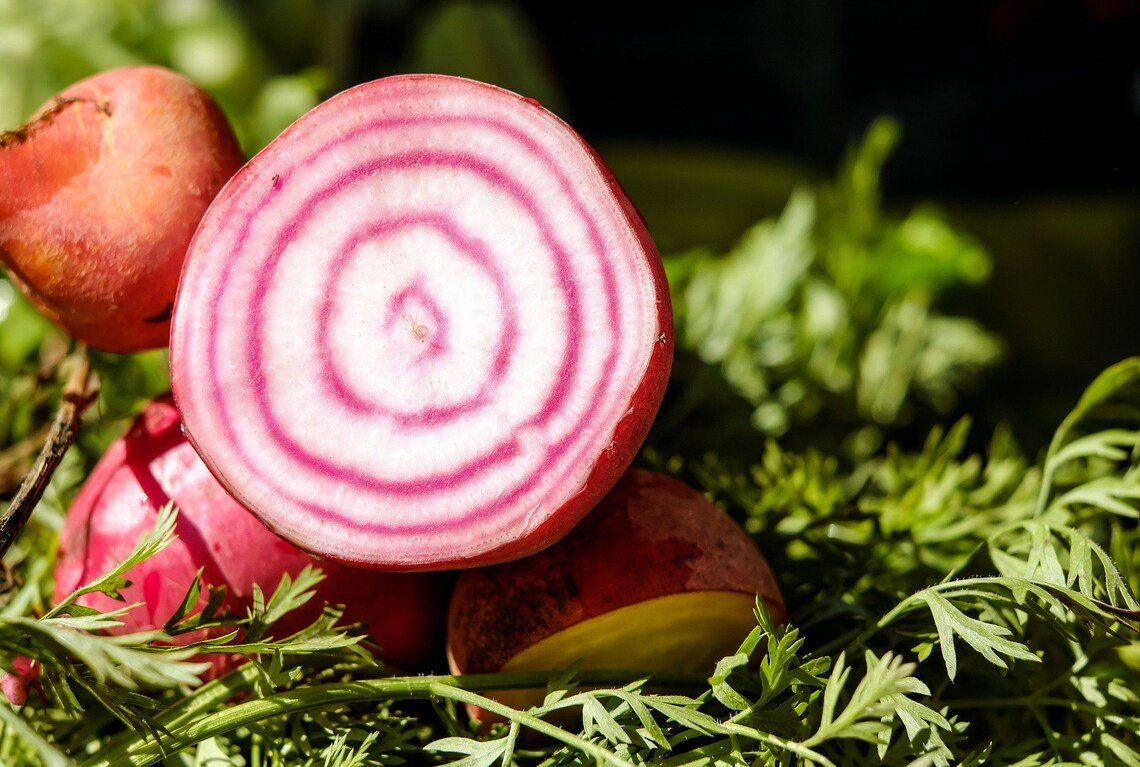 Choggia Beet Heirloom Culinary Select {Beta Vulgaris} Non-Gmo Candy Cane Beet Cold Tolerant 100+ See