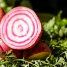 Choggia Beet Heirloom Culinary Select {Beta Vulgaris} Non-Gmo Candy Cane Beet Cold Tolerant 100+ See
