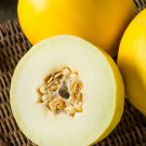 Mango Melon Heirloom Non-Gmo Ancient Super-Fruit {Cucumis Melo Var. Chito} 10+ Peach Vine Seeds