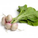 650+ Turnip Green Seeds (Purple Top White Globe) Non-Gmo Heirloom Vegetable Seed