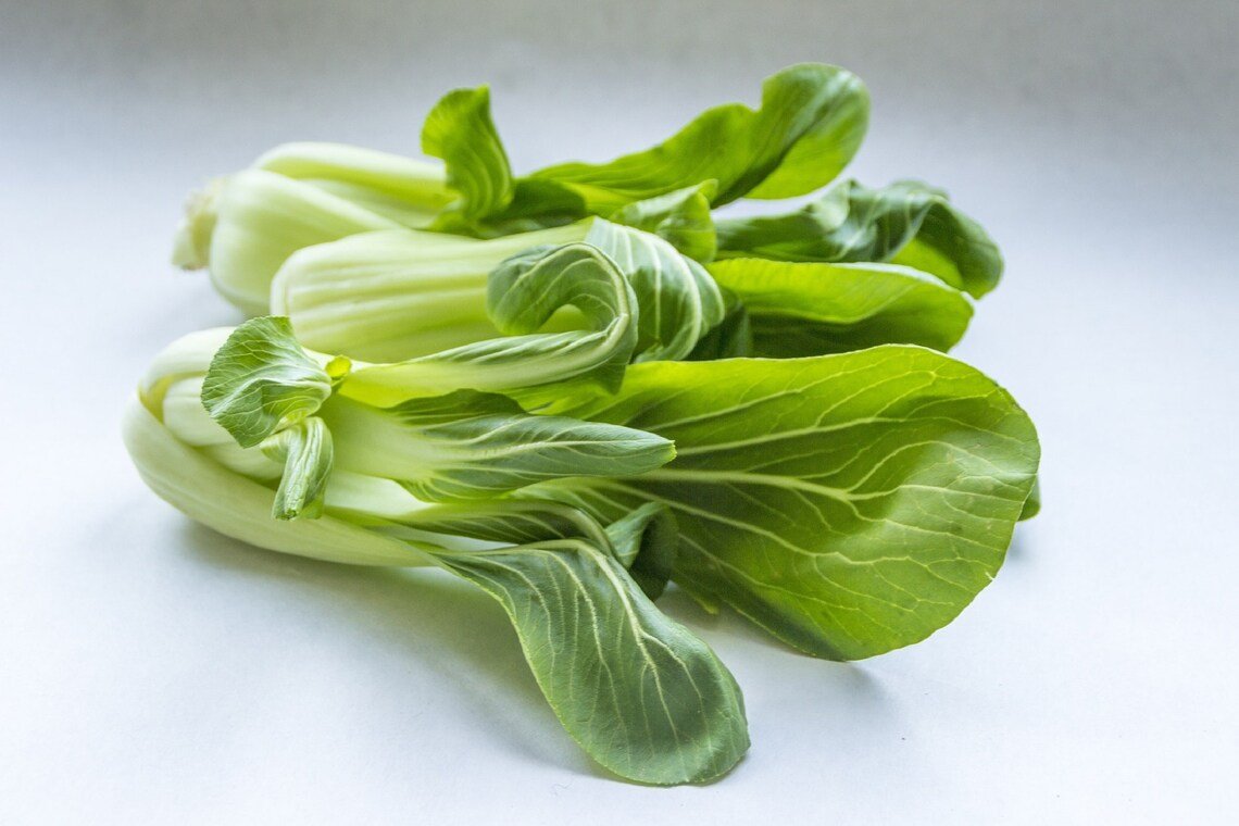 Dwarf Pak Choi {Brassica Rapa} Heirloom  800+ Seeds