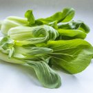 Dwarf Pak Choi {Brassica Rapa} Heirloom  800+ Seeds