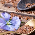 2000+ Blue Linum Flax Flower Seeds