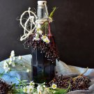 European Elderberry Organic Fruiting Shrub {Sambucus Nigra} Edible Superfruit  50 Seeds