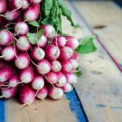 French Breakfast Radish Heirloom Non-Gmo 25+ 25 Days Raphanus Sativus