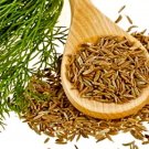 Organic Cumin {Cuminum Cyminum} Culinary Grade  50+ Seeds