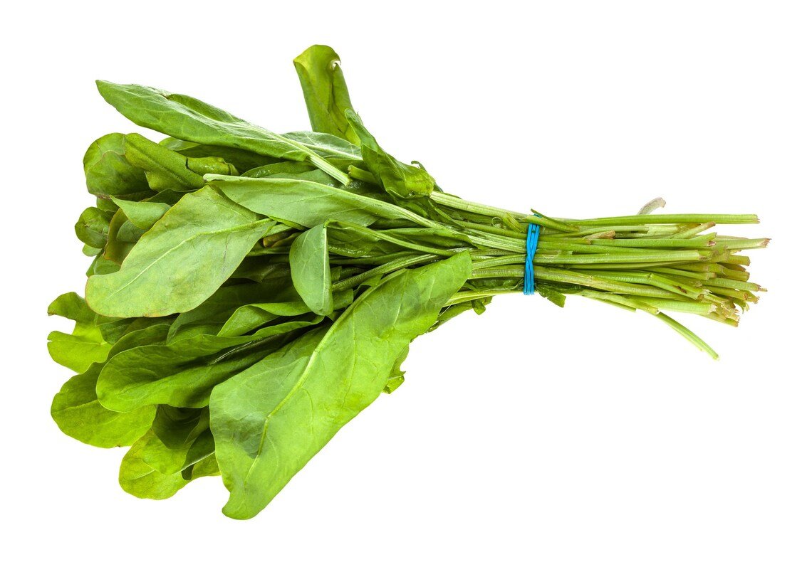 500+ Broad Leaf Sorrel Seeds