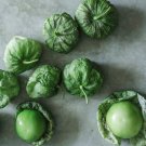 Tomatillo (Verde) Green Husk - Make Mexican Verde Salsa  Vegetable 200+ Seeds