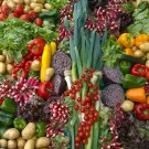 21,500 + Seeds Emergency Survival Bank 42 Variety Cold Tolerant Fast Growing  Non-Gmo Heirloom